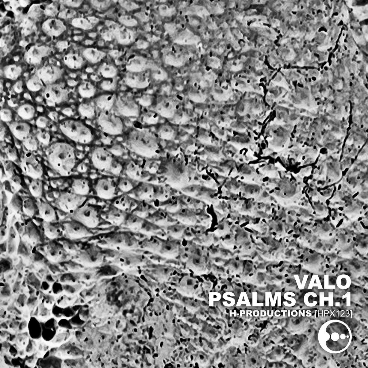 Proudly presenting the new H-Productions [HPX123] PSALMS CH.1 by VALO - the first chapter of 3 - out in all portals including my Bandcamp * h-productions.bandcamp.com/album/psalms-c…