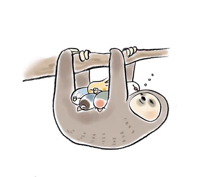 明日も20〜21時にイラスト投稿します『なまけものハンモック』(再掲) 