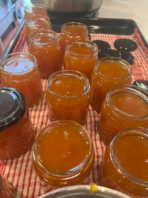 JAMMMMMMMMMMMMMMM!

Carolyn has LOTS of LOVELY JAM for sale. £3.50 each or £11.50 for 2 incl. UK postage

Seville orange marmalade
Raspberry
Nectarine
Strawberry
Damson
Greengage
Blackberry and apple
Apricot
carolynskitchenfood.com
 
Contact her via website to buy