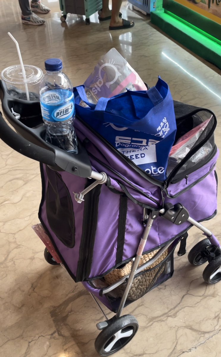 halo aku kucing tweet media