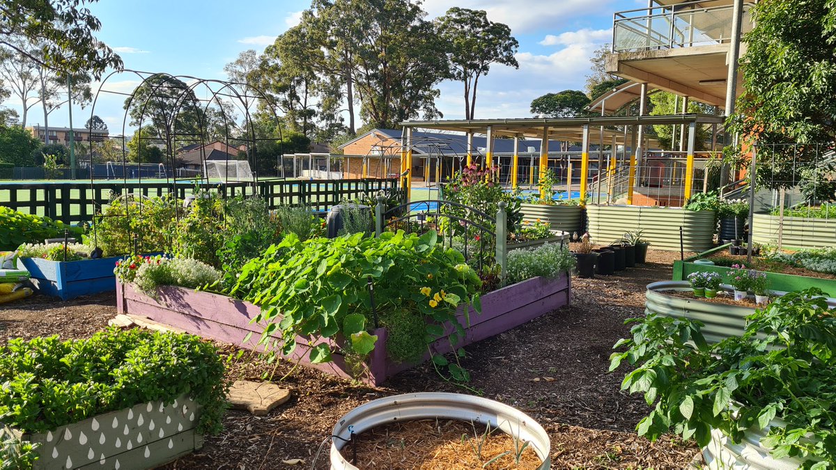 A different view at the end of the week ❤️🧡💛💚

<a href="/IngleburnPs/">Ingleburn PS</a> 
<a href="/IPSInglerock/">Inglerock Canteen</a>