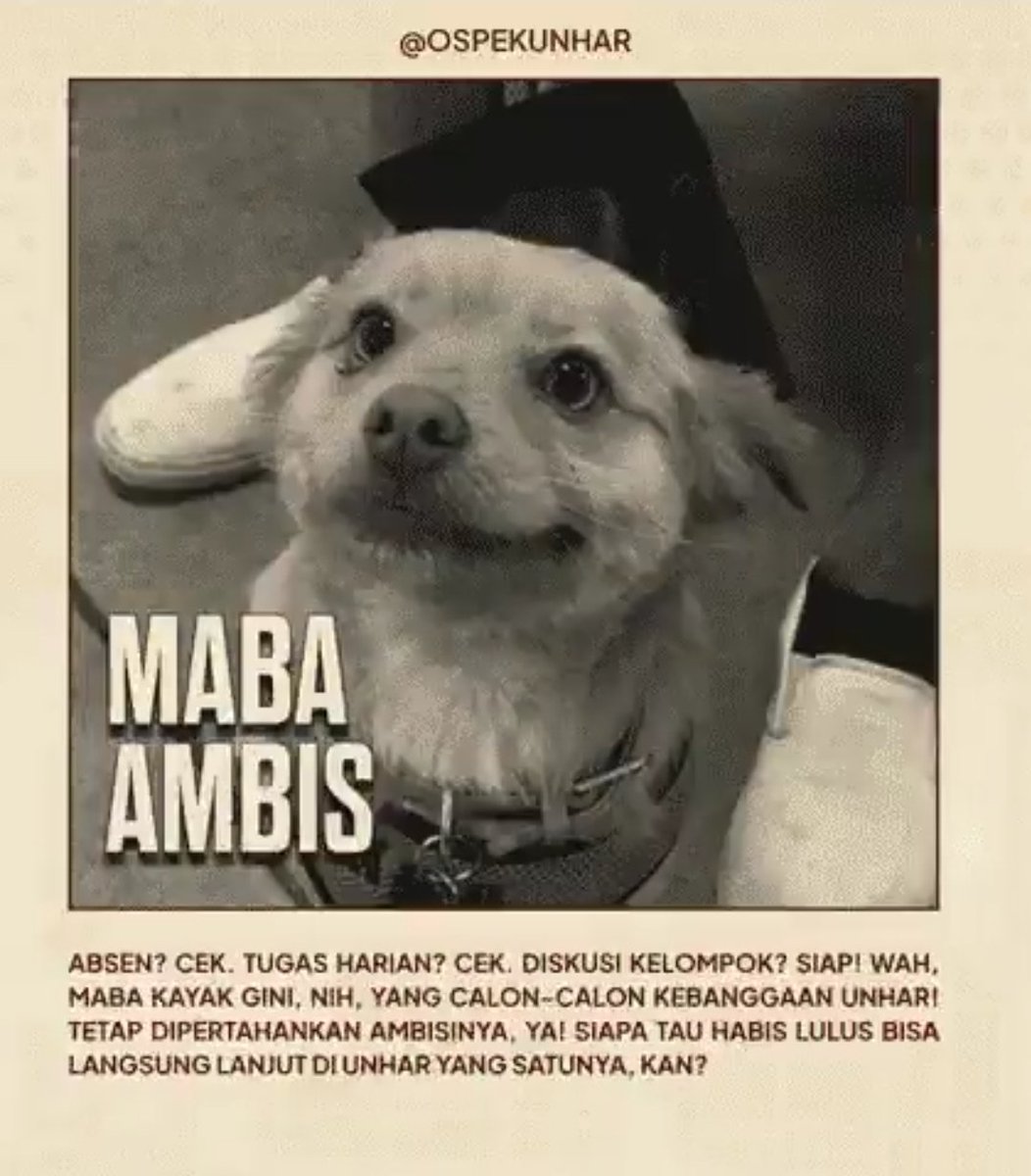 WILLIAM. tweet media