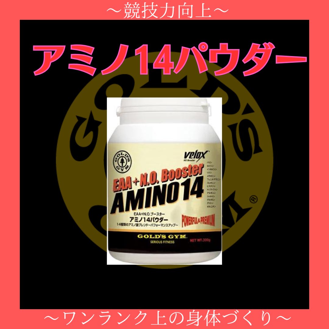 GOLD'S GYM (ゴールドジム) アミノ14パウダー EAA+N.O.