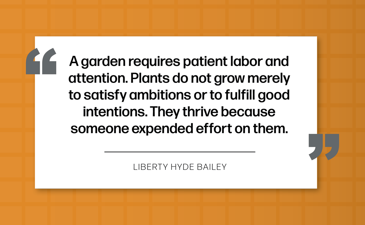 Mumo Systems tweet media