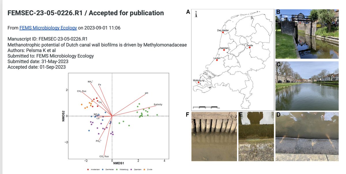 Congratulations to <a href="/koen_pelsma/">Koen Pelsma</a> manuscript accepted by <a href="/FEMSmicro/">FEMS</a> The canals of 5 Dutch cities harbor methane-munching biofilms with #Methylomonas being the most likely hungry culprit. #methane #microbiology @RIBESresearch <a href="/NESSCresearch/">NESSC</a>