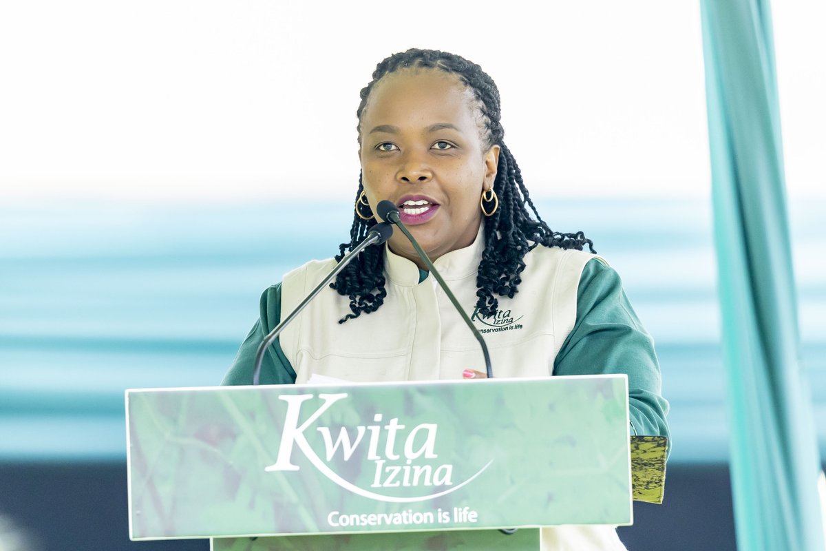 ‘’Today, we gave a name, an identity, and a future to 23 new baby gorillas, who only a few decades ago, would have been threatened by extinction.’’ @RDBRwanda CEO, @cakamanzi in her remarks. #VisitRwanda 🇷🇼I #KwitaIzina🦍