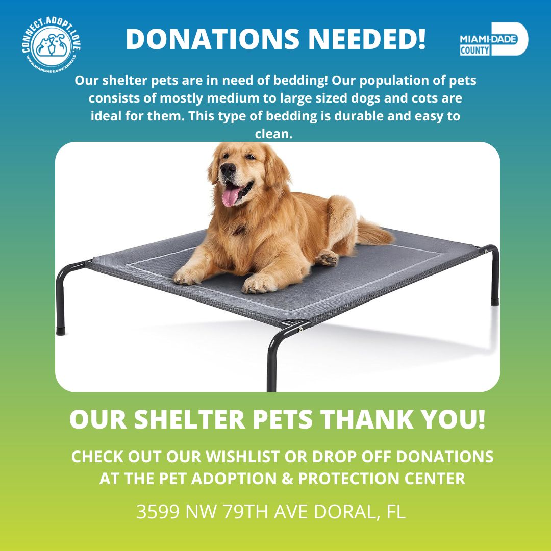 AdoptMiamiPets's tweet photo. Our shelter pets need your help! We're seeking donations of cot beds to provide them with a comfy place to rest. Help make their dreams come true by clicking the link below and checking out our Amazon Wishlist! 🐶 🐾 🛏️ ❤️ https://t.co/2TuW0HL5CA