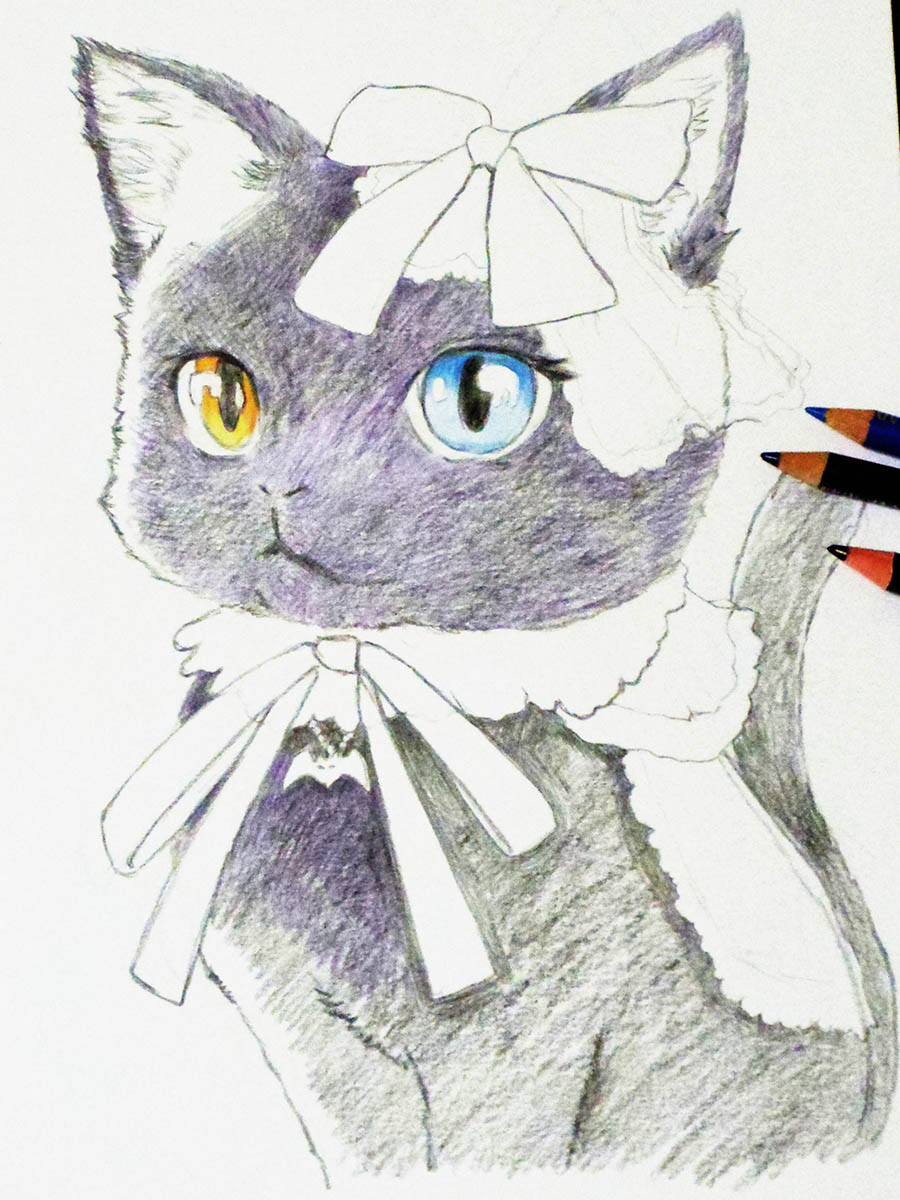 cat no humans traditional media heterochromia animal focus blue eyes animal  illustration images