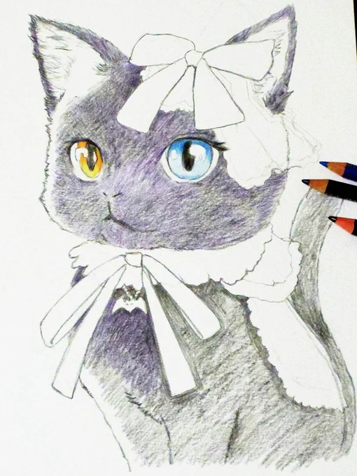 ハロウィン猫さん色鉛筆、今日の進捗です黒猫さん、そしてオッドアイ#鉛筆画 #色鉛筆画 #wip 