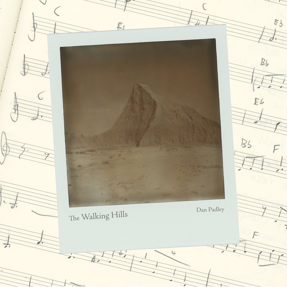 Dan Padley tweet media