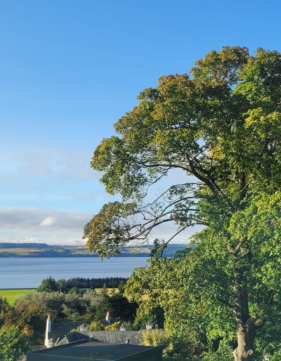 giovmacpoet's tweet photo. Full sunshiny morning welcome from #Dundee today before a tour of #scientist De Lin's #massspectrometer - which is working hard to unlock #covid #malaria #tb and more - before I host this afternoon's #poetry #workshop 😊
@wcairdundee #dundeeuni @schooloflifesciences https://t.co/P4rD3wIB6O