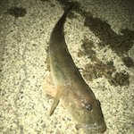 Photo by FishMining Fishing (@FishMining)