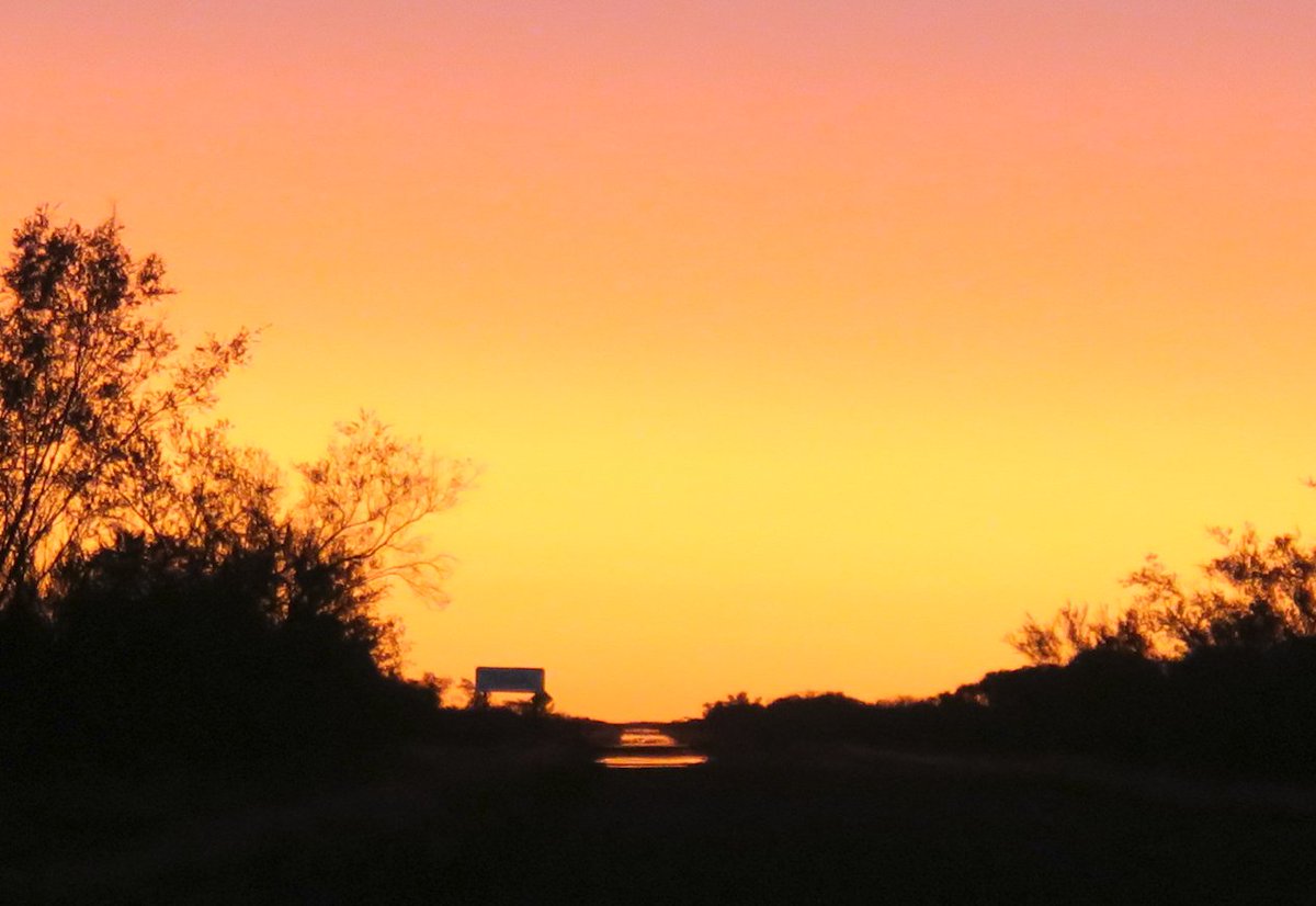 Robert Lieck tweet media