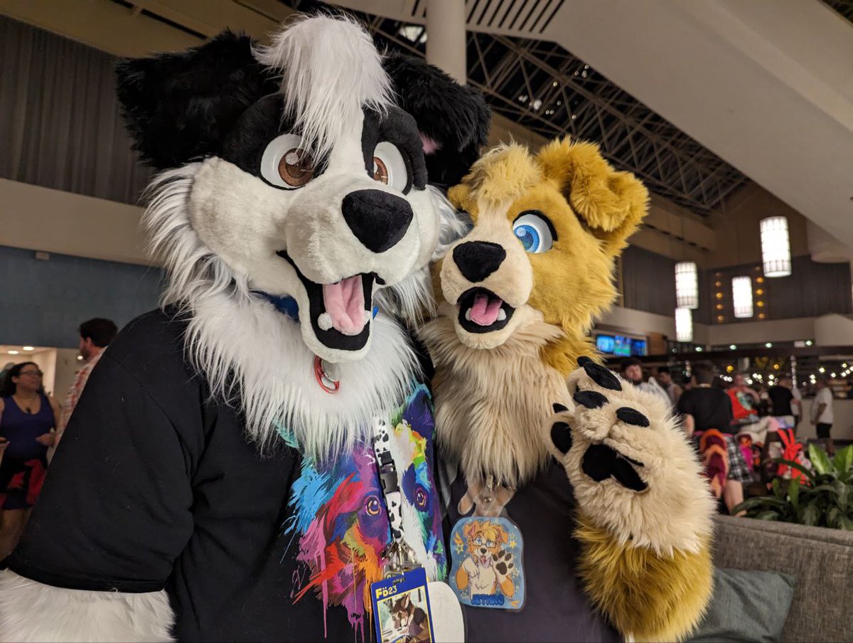 Can you pet the dogs?   Yes! You sure can!   Happy Friday from Maxwell and myself.
#FursuitFriday #Furrydelphia2023 
🪡: <a href="/CurlyCollective/">CurlyCollective (Retired)</a> 
🐶 : <a href="/MaxBaxCollie/">Maxwell Baxter-Corrie</a>
