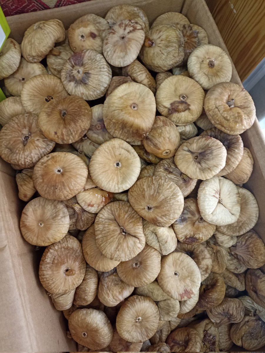 İri boy  230
Orta boy 185
Salı gününden itibaren gönderme başlıyoruz
#Yenisezon #dalkurusu
#Aydın #incir