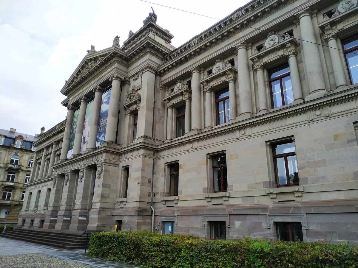 Schulerthom's tweet photo. Prise de poste de BIBAS ce matin, pour cataloguer des dons et veiller au suivi des collections en libre-accès. Nouvelles missions, nouveau bureau, mais je reste à la Bnu de Strasbourg ! Mon ficus semble déjà apprécier son nouvel environnement. 😉🌿 https://t.co/7q9LEV2MYd