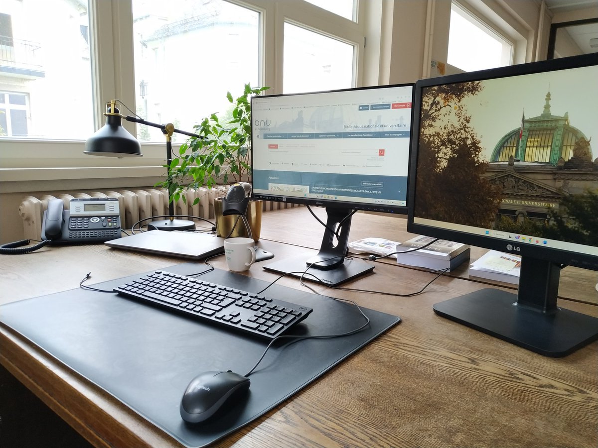 Schulerthom's tweet photo. Prise de poste de BIBAS ce matin, pour cataloguer des dons et veiller au suivi des collections en libre-accès. Nouvelles missions, nouveau bureau, mais je reste à la Bnu de Strasbourg ! Mon ficus semble déjà apprécier son nouvel environnement. 😉🌿 https://t.co/7q9LEV2MYd