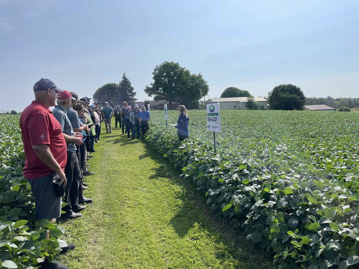 NK® Seeds Canada tweet media