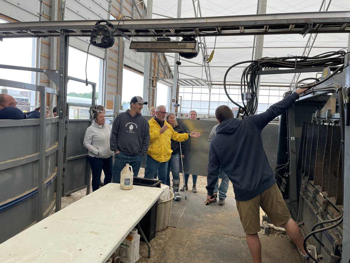 NK® Seeds Canada tweet media