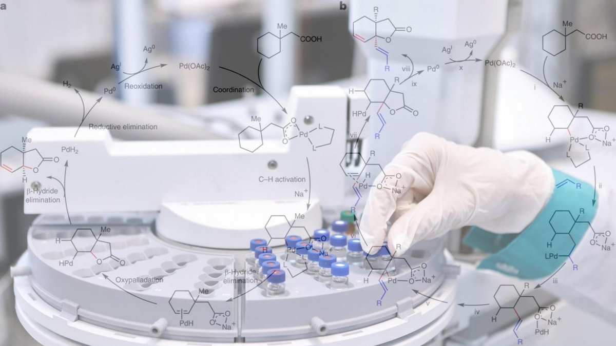 Prof. Debabrata Maiti’s research group at the Chemistry Dept. from IITB have successfully developed a reaction which activates unreactive carbon-hydrogen (C-H) bonds to form essential compounds called lactones found in natural products and pharmaceuticals.