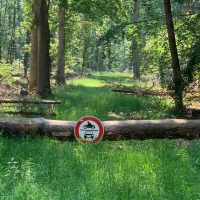 AthleticsFuture's tweet photo. Das muss mal genügen für #byebye08 @TorpedoMitte
Letztes längeres Bewegen vorm Meisterschafts-Halbmarathon am Sonntag. Noch von 16 auf 18k. erhöht, aber zu mehr nicht getraut.
Will schließlich mit 4:22 Min/k. auf 1:33 Std. angehen!
Eben noch 3 Meilen Barfuß um den
⚽️-Platz! https://t.co/3w762MBfMu
