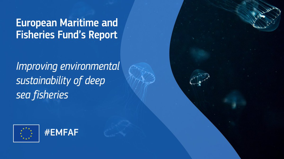 CINEA 🇪🇺 tweet media