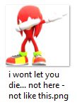 ELGWombat's tweet photo. @SwiftDuelist Based sonic heroes enjoyer https://t.co/mTCPYMEr5U