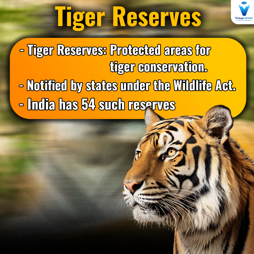 Dholpur Karauli Tiger Reserve: A newly approved tiger reserve in Rajasthan, India, aiming to protect tigers and wildlife.
Know more about that!

#DholpurKarauliTigerReserve #TigerConservation #RajasthanWildlife#TigerReserve #WildlifeProtection #RajasthanBiodiversity