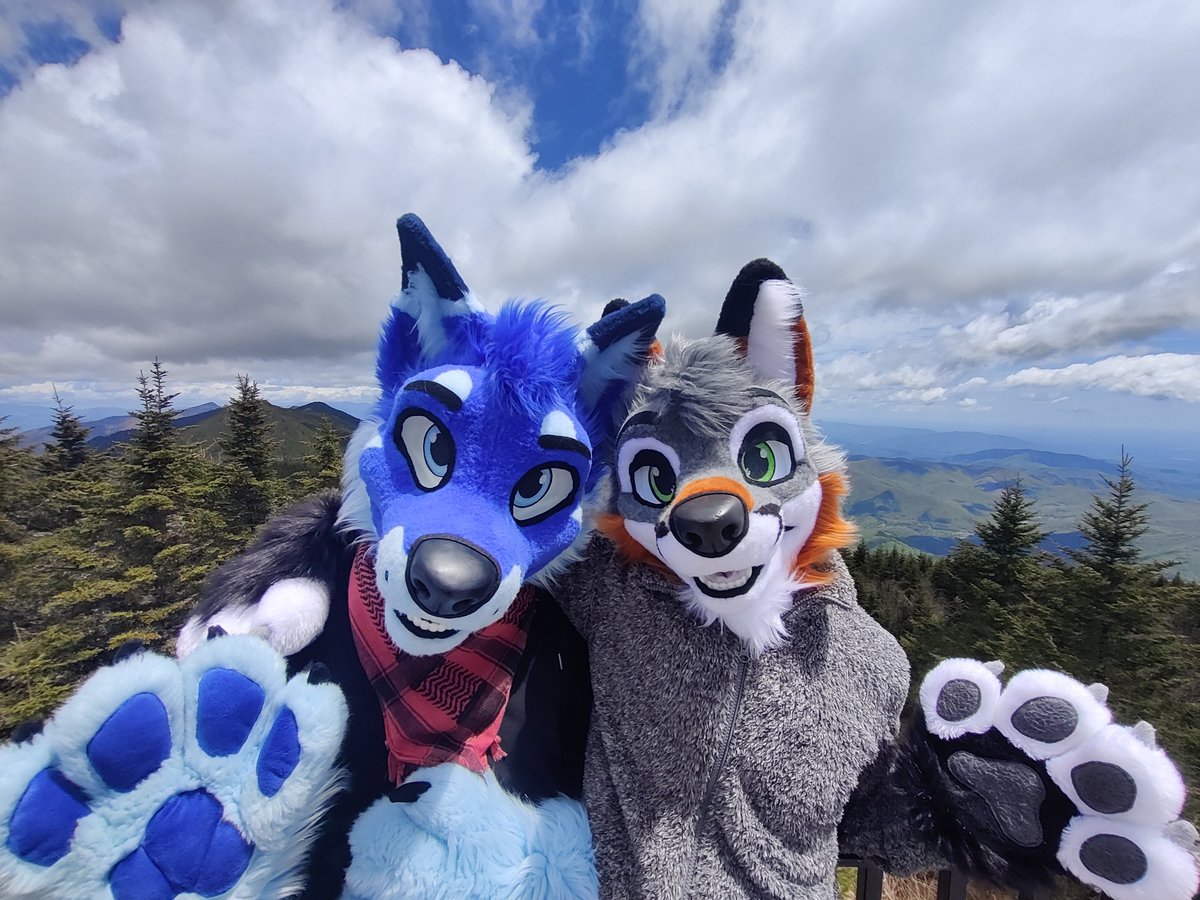 BluesugarDK's tweet image. Have a very happy #FursuitFriday from @raidiak and I, from the tall North Carolinan mountains ⛰️🥰

📸: @/YCHPhoto