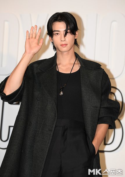 YOU ARE SUCH AN ART: Cha Eun-woo turns heads at Lady Dior Celebration  Exhibition event with his enticing visuals