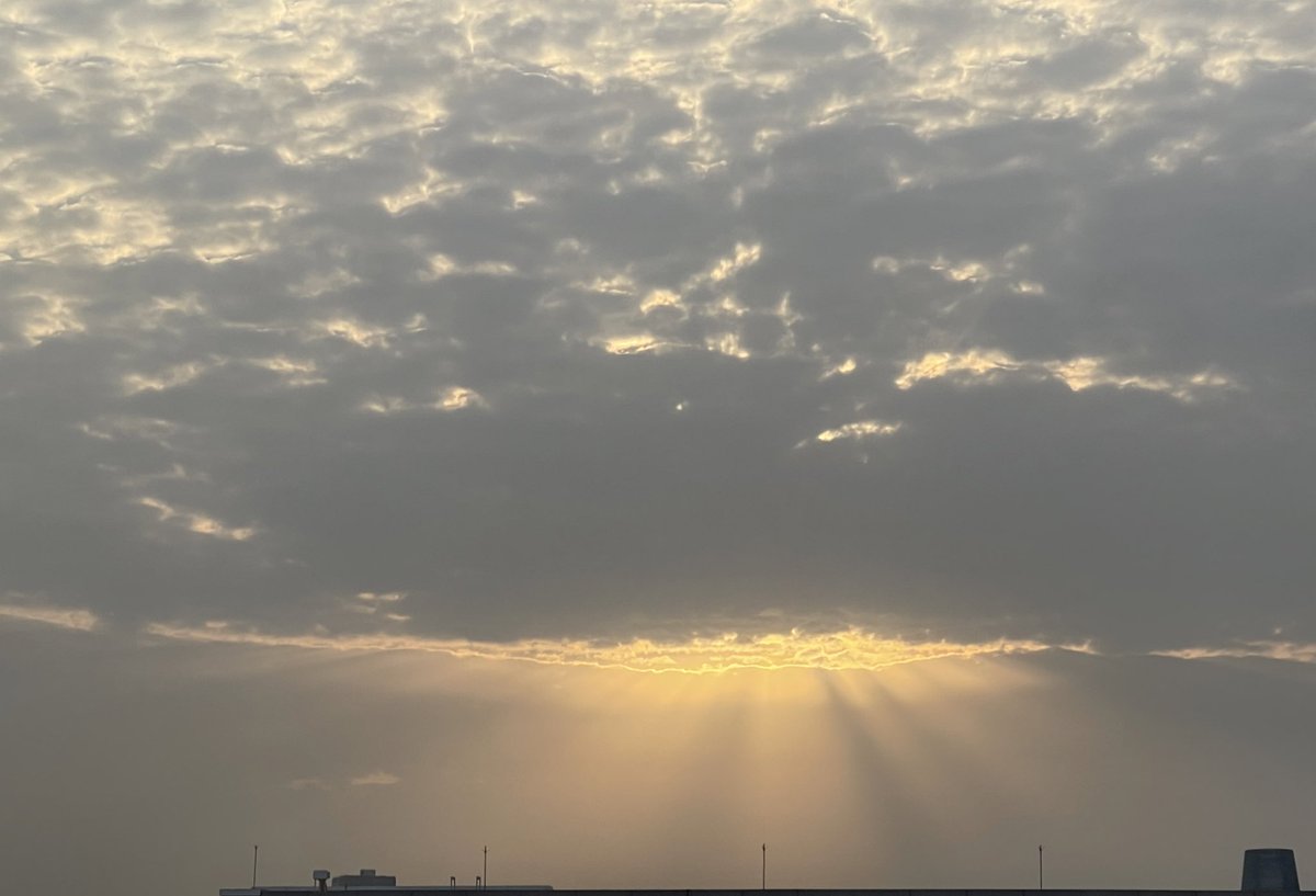 IDiveil's tweet photo. ☀️ https://t.co/73kGETUjT5