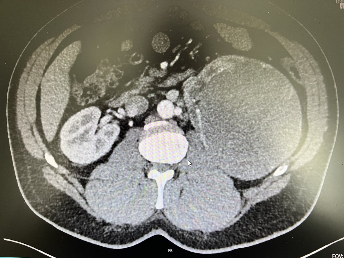 Thomas RW Herrmann tweet media