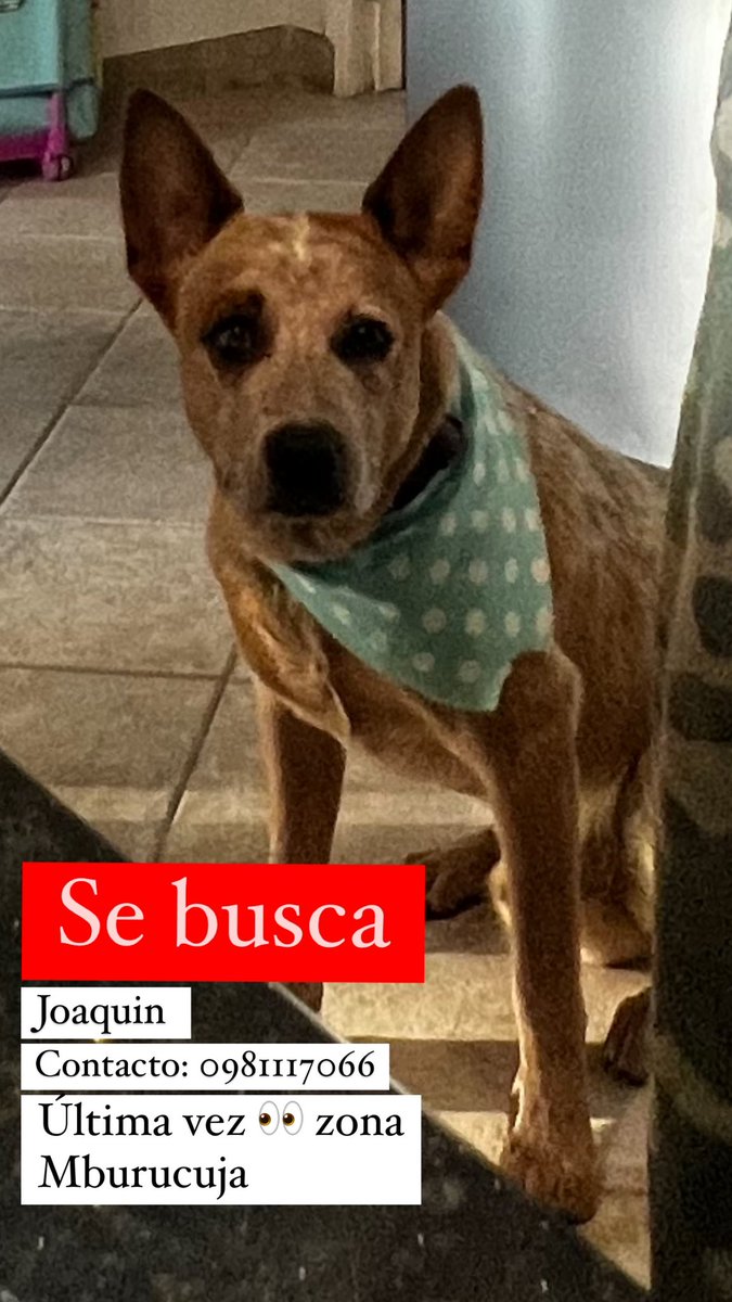 Me darían una mano?