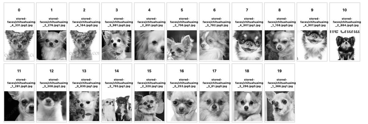 FTisiot's tweet image. Trying out #PostgreSQL #pgvector on the famous “Chihuahua vs muffin dataset”, results are very good!

kaggle.com/datasets/samue…