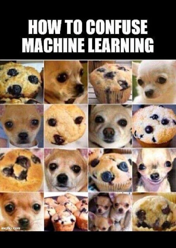 FTisiot's tweet image. Trying out #PostgreSQL #pgvector on the famous “Chihuahua vs muffin dataset”, results are very good!

kaggle.com/datasets/samue…