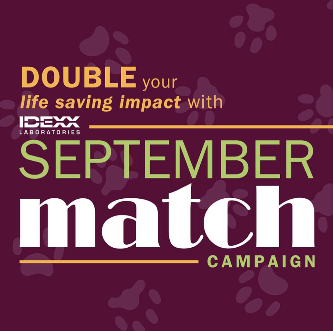 Our September Match campaign with our safety net partner <a href="/IDEXX/">IDEXX</a> is officially underway! Every gift made through 9/30 is DOUBLED up to $25,000.

Thank you for joining us in our life-saving mission. We hope you will consider making a matched gift today! 

bit.ly/arlgpmatch