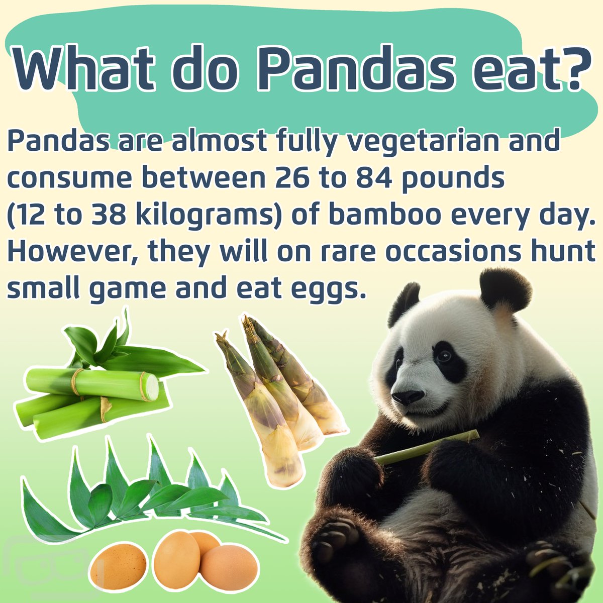 Lookout Lunch Box tweet media