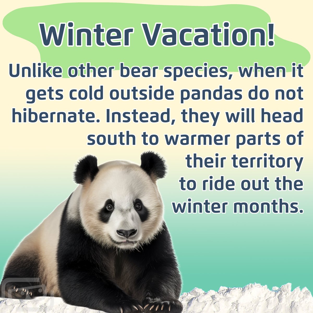 Lookout Lunch Box tweet media