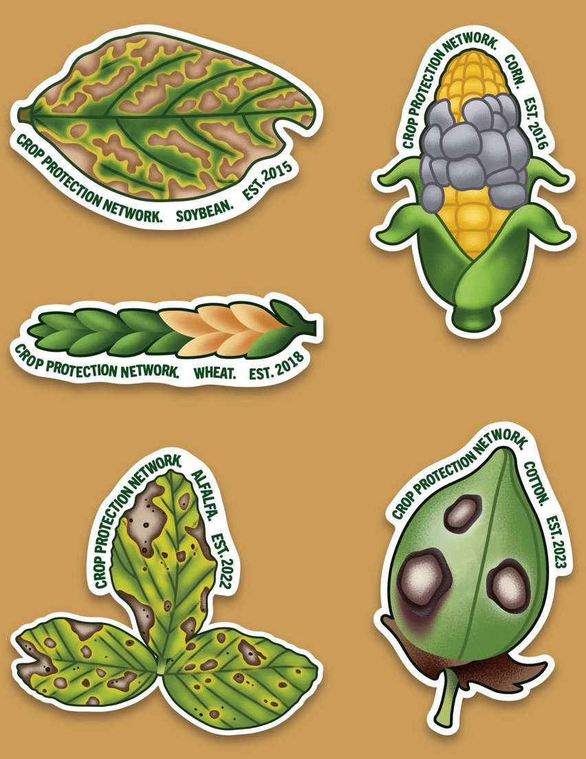 Crop Protection Network (@cropnetwork) on Twitter photo Can you diagnose the crop diseases in these illustrations?
Extension has disease management resources for #soybean, #corn, #wheat, #cotton and #alfalfa at cropprotectionnetwork.org
#agtwitter <a href="/YuanZeng3/">Yuan Zeng</a> <a href="/MartinChilvers1/">Martin Chilvers</a> <a href="/alisonrISU/">Alison Robertson</a> <a href="/maddishires/">Maddi Shires</a> <a href="/DylanMangel/">Dylan Mangel</a> <a href="/tjcksn/">Tamra Jackson-Ziems</a> @LeAnnLux Can you diagnose the crop diseases in these illustrations?
Extension has disease management resources for #soybean, #corn, #wheat, #cotton and #alfalfa at cropprotectionnetwork.org
#agtwitter <a href="/YuanZeng3/">Yuan Zeng</a> <a href="/MartinChilvers1/">Martin Chilvers</a> <a href="/alisonrISU/">Alison Robertson</a> <a href="/maddishires/">Maddi Shires</a> <a href="/DylanMangel/">Dylan Mangel</a> <a href="/tjcksn/">Tamra Jackson-Ziems</a> @LeAnnLux