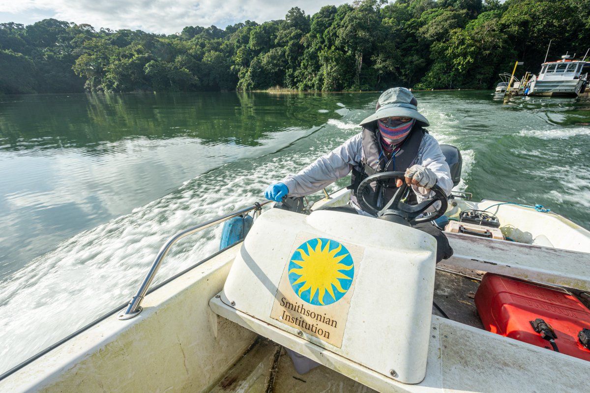 @stri_panama @SIGlobal @EarthOptimism While helping support research on the effects of climate change on the Panama Canal and surrounding ecosystems, Paton sees signs of hope. 

'Many Panamanians are dedicating their lives to doing research on the effects of climate change,' he said. 'Institutions are recognizing…