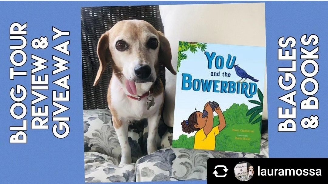 Calling all #birdnerds 🐦: it's a pre-#LaborDayWeekend YOU AND THE BOWERBIRD #BookGiveaway from Bella #beagle & @lauramossa at #BeaglesandBooks
beaglesandbooks.com/2023/08/31/blo…

Art by @mariswicks 
From @MacKidsBooks @MacKidsSL 
#birding
#birdbooksforkids
#birdlovers