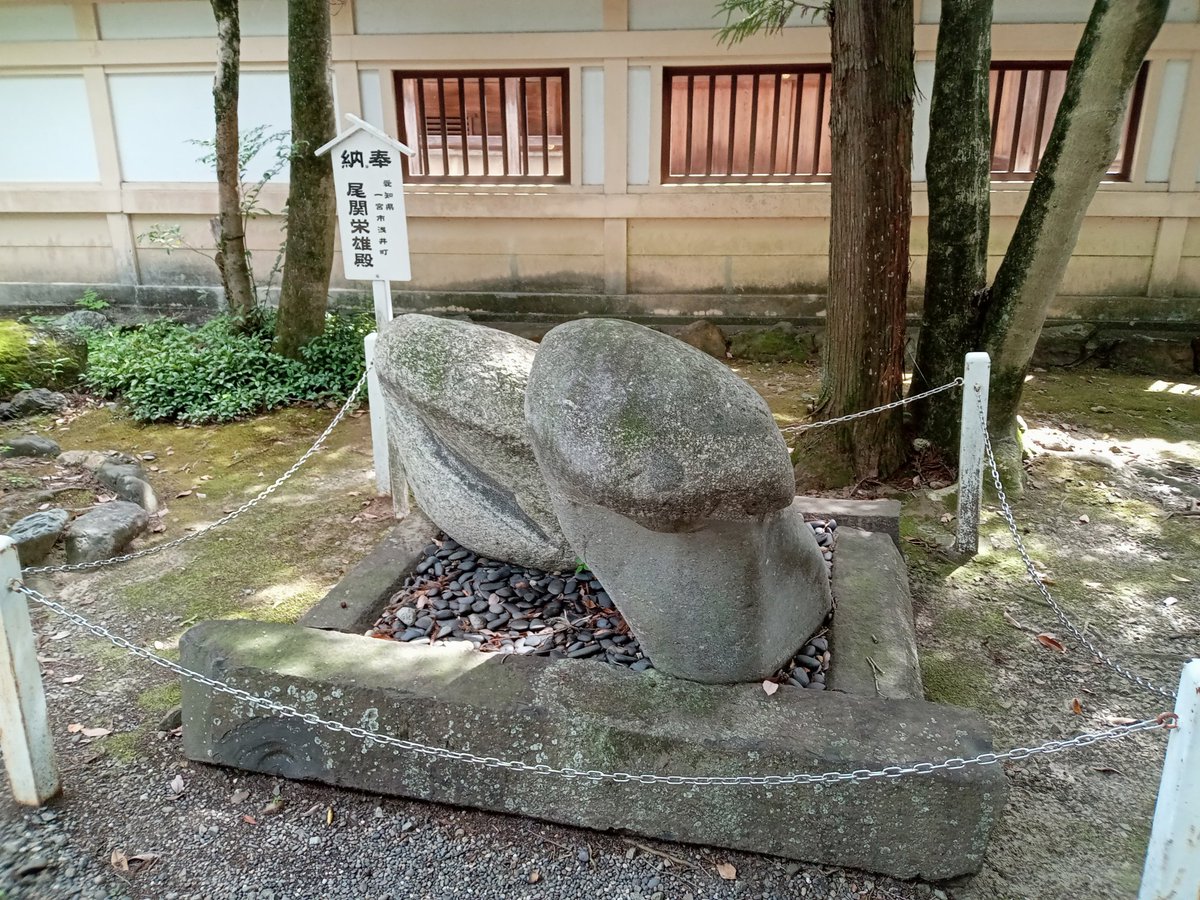 BQ_laboratory's tweet photo. 【珍スポット】【パワースポット】田縣神社(愛知県小牧市)
B級好きには有名な神社、男性のシンボルを祀り、子孫繁栄・五穀豊穣を願う。毎年3月15日に行われる『豊年祭』ではデカシンボル神輿をワッショイワッショイ。境内奥にはシンボル型の巨石や祀られた木製の物も。
#パワースポット #珍スポット https://t.co/WNrebQLQa1