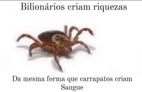 Comuna Autogestionada Produtora de Memes (@comunadememes) on Twitter photo 