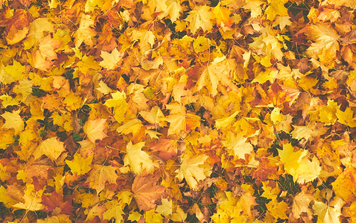 "A new month has begun and may this September bring endless good fortune and fond memories.