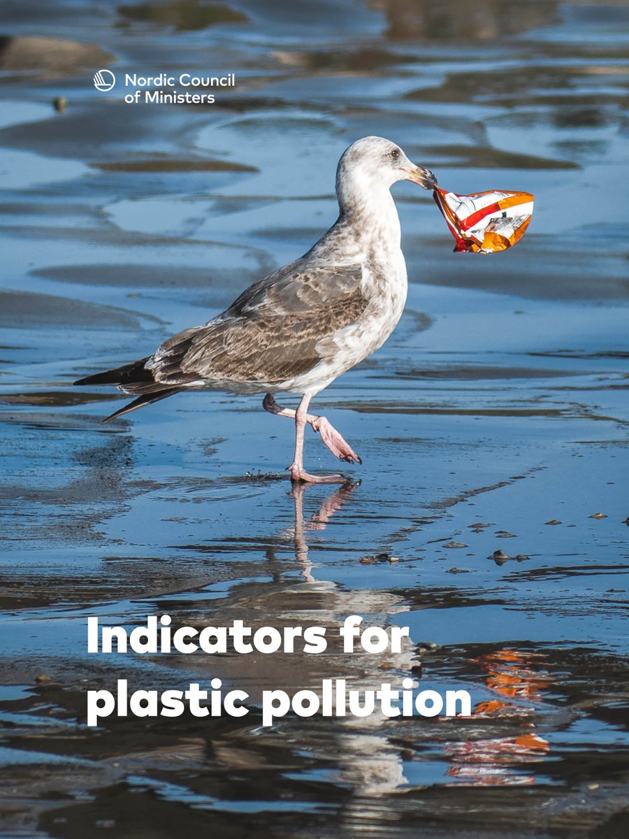 Without reliable, robust and comparable data we cannot solve the #global #plastic #pollution problem: A new report of the Nordic Council of Ministers considers the whole plastic value chain in its suggestions of indicators for plastic pollution. pub.norden.org/temanord2023-5…