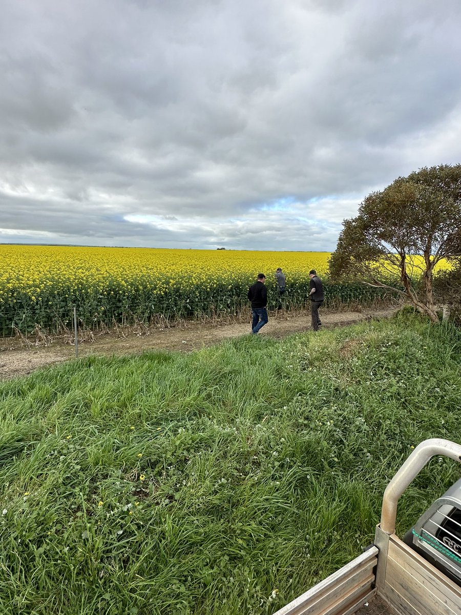 luke clark tweet media