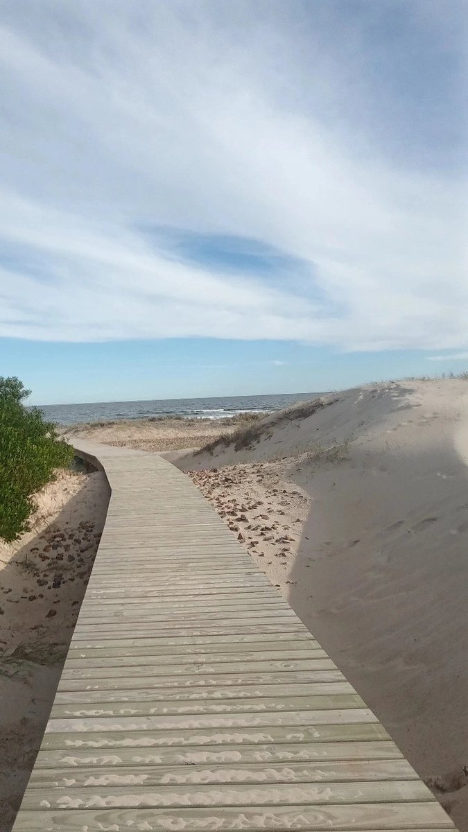 Recordamos que lamentablemente el puente colgante ubicado sobre el Arroyo Tarariras, en Balneario Las Flores, permanece inhabilitado por daños debido a actos de vandalismo. 

Enlace de la nota: 
maldonado.gub.uy/noticias/idm-r…