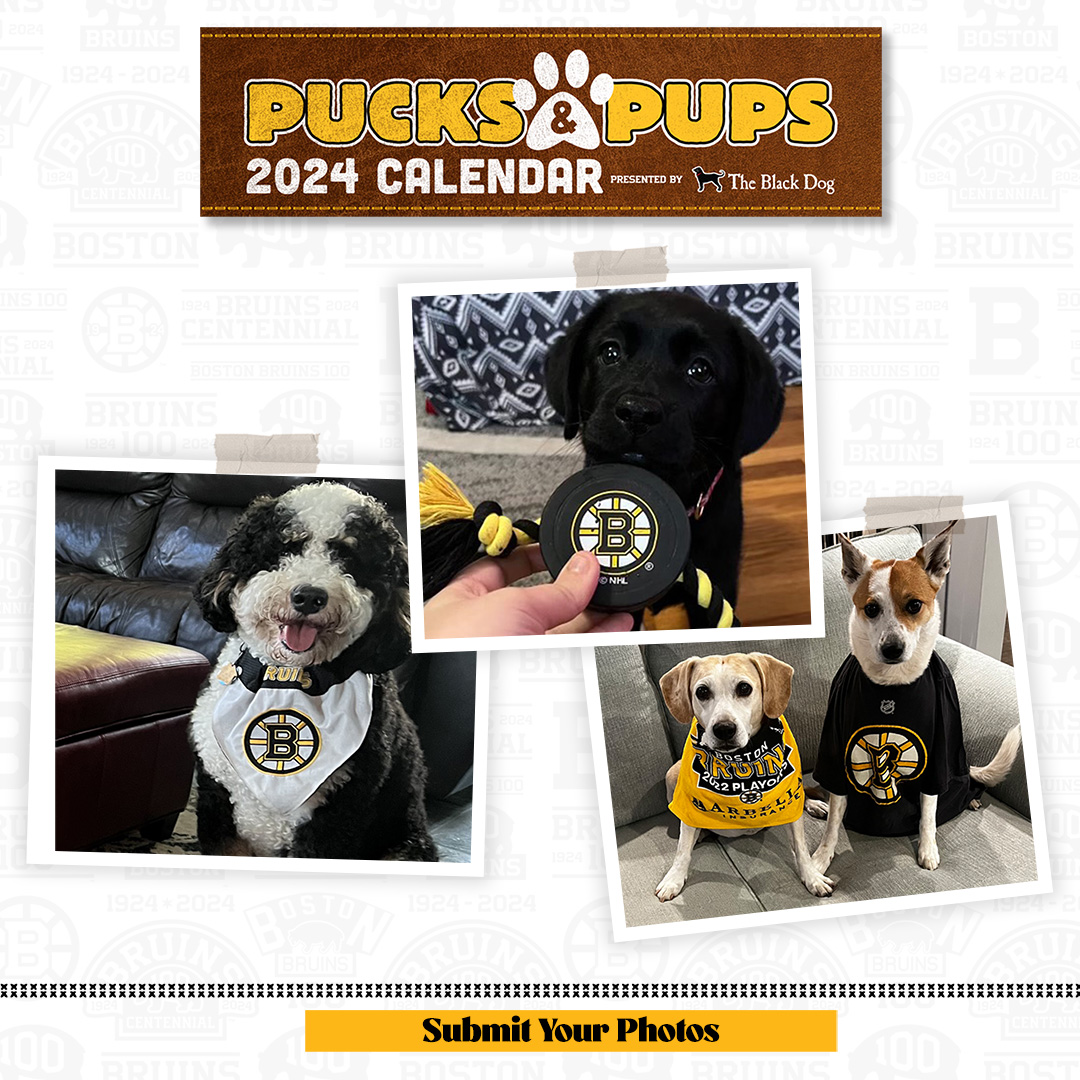 Boston Bruins - Calling all four-legged Bruins fans! Share a pic of your  pup on Twitter or Instagram showing off their black and gold pride and tag  #PucksAndPups for a chance to