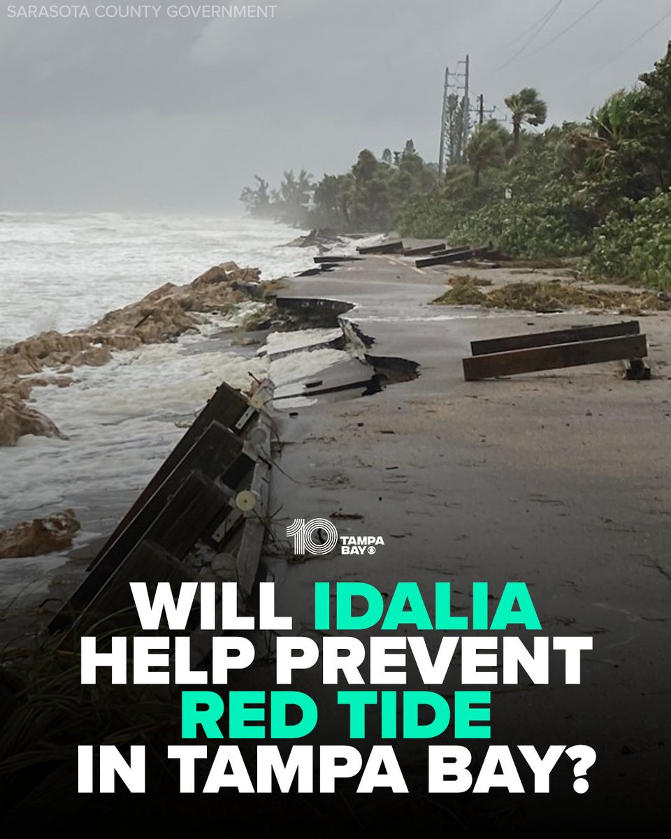 10TampaBay's tweet photo. RED TIDE RISK? Here's what marine science experts predict for our Tampa Bay-area waters during Labor Day weekend: https://t.co/ESuWe6LqxH https://t.co/X0lLF0Cd0Z