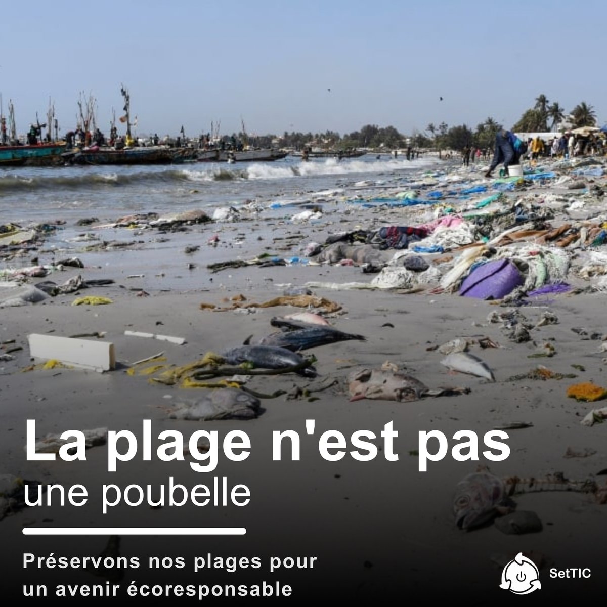 settic_sn's tweet photo. 🌊 Les océans sont notre source de vie, mais ils souffrent de la pollution plastique. Chaque geste compte ! Réduisons, réutilisons, recyclons nos déchets . Ensemble, préservons nos océans pour les générations futures. 🌍💙 #OcéansPropres #Environnement #settic https://t.co/cbspLFJwTz